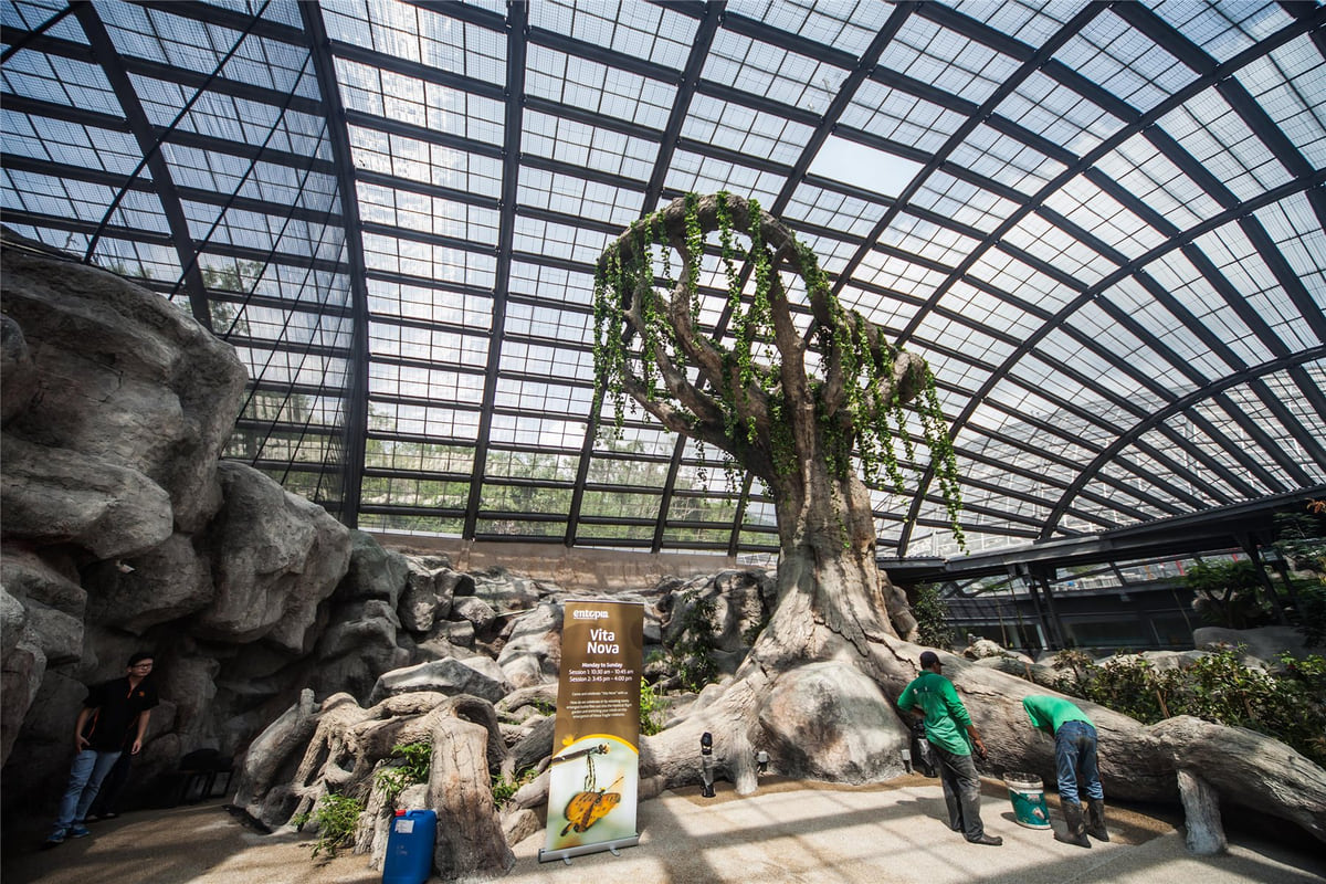 Entopia Butterfly Farm